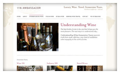 Vin Ambassador